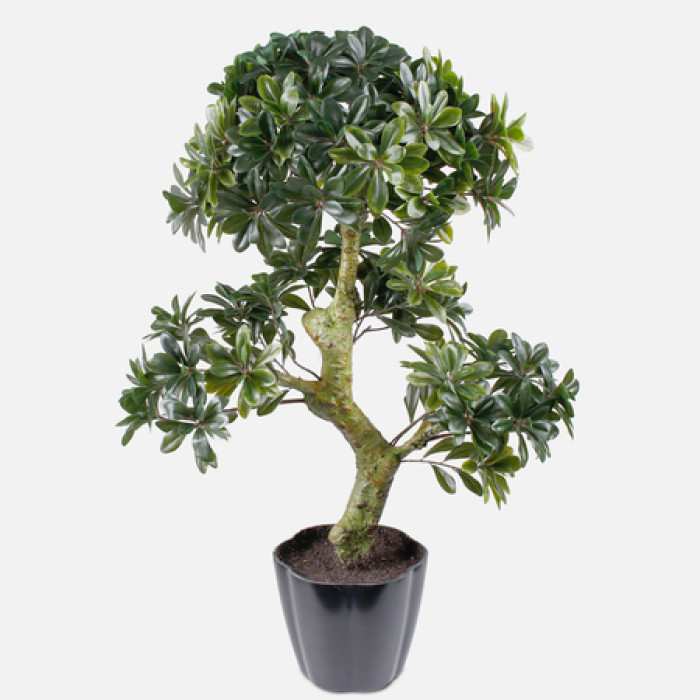 Artificial plant BONSAI
